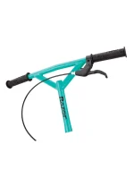 Razor DeltaWing Scooter BlackMint Green, One Size (2)